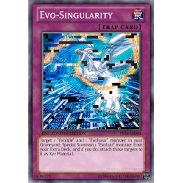 Evo-Singularity
