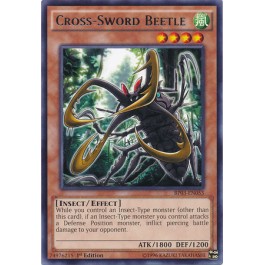 Cross-Sword Beetle