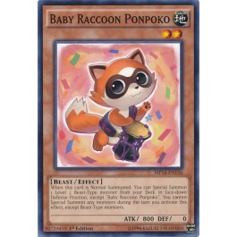 Baby Raccoon Ponpoko