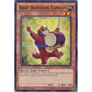 Baby Raccoon Tantan