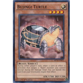 Bujingi Turtle