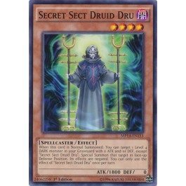 Secret Sect Druid Dru