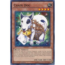 Chain Dog