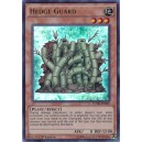 Hedge Guard