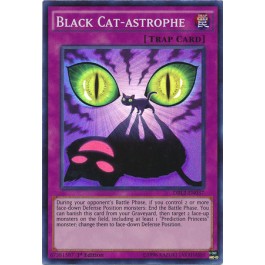 Black Cat-astrophe