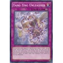 Yang Zing Unleashed