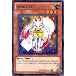Lock Cat