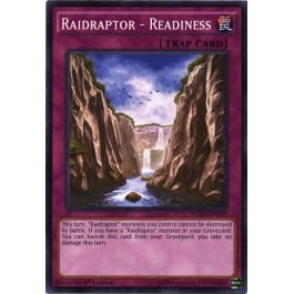Raidraptor - Readiness