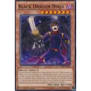 Black Dragon Ninja