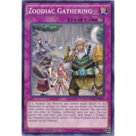 Zoodiac Gathering