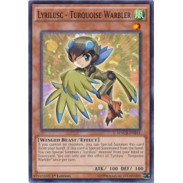 Lyrilusc - Turquoise Warbler