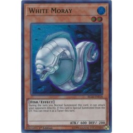 White Moray