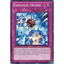 Explosive Urchin