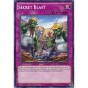 Secret Blast
