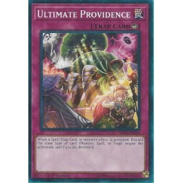 Ultimate Providence