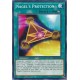 Nagel's Protection