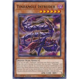 Tindangle Intruder