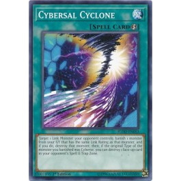 Cybersal Cyclone