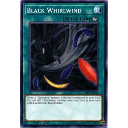 Black Whirlwind