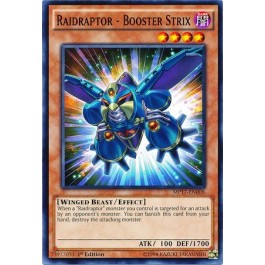 Raidraptor - Booster Strix