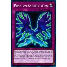 Phantom Knights' Wing