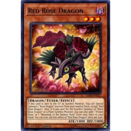 Red Rose Dragon