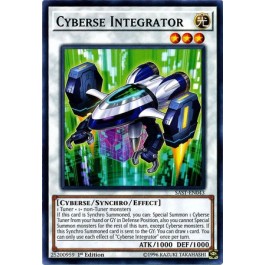 Cyberse Integrator