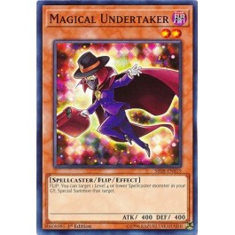 Magical Undertaker