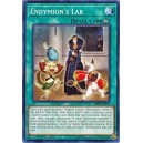 Endymion's Lab