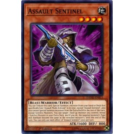 Assault Sentinel