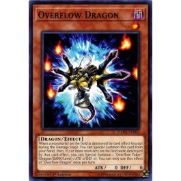 Overflow Dragon