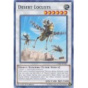 Desert Locusts