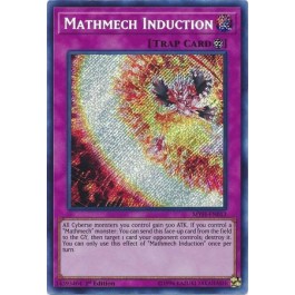 Mathmech Induction