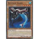 Buzzsaw Shark