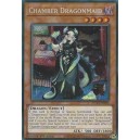 Chamber Dragonmaid