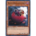 Black Dragon's Chick