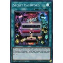 Secret Password