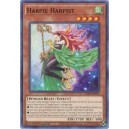 Harpie Harpist