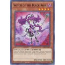 Witch of the Black Rose