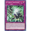 S-Force Specimen