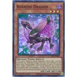 Roxrose Dragon
