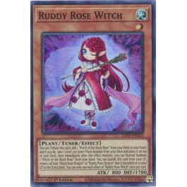 Ruddy Rose Witch