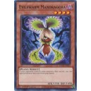 Evilswarm Mandragora