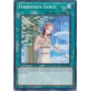Forbidden Lance