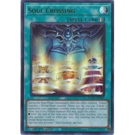 Soul Crossing