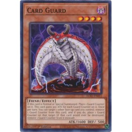 Card Guard