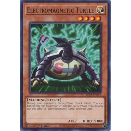 Electromagnetic Turtle