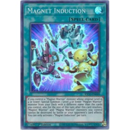 Magnet Induction