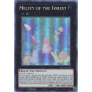 Melffy of the Forest