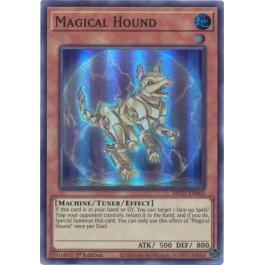 Magical Hound